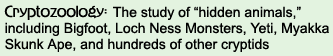 Cryptozoology: The study of "hidden animals," includes Bigfoot, Loch Ness Monsters, Yeti, Myakka Skunk Ape, and hundreds of other cryptids.